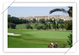 Real Club De Golf Campoamor