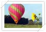 Andalucia Balloons in Ronda