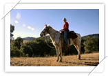 Horse Riding at El Rancho